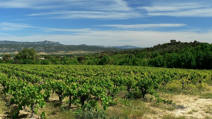 Languedoc iDealwine