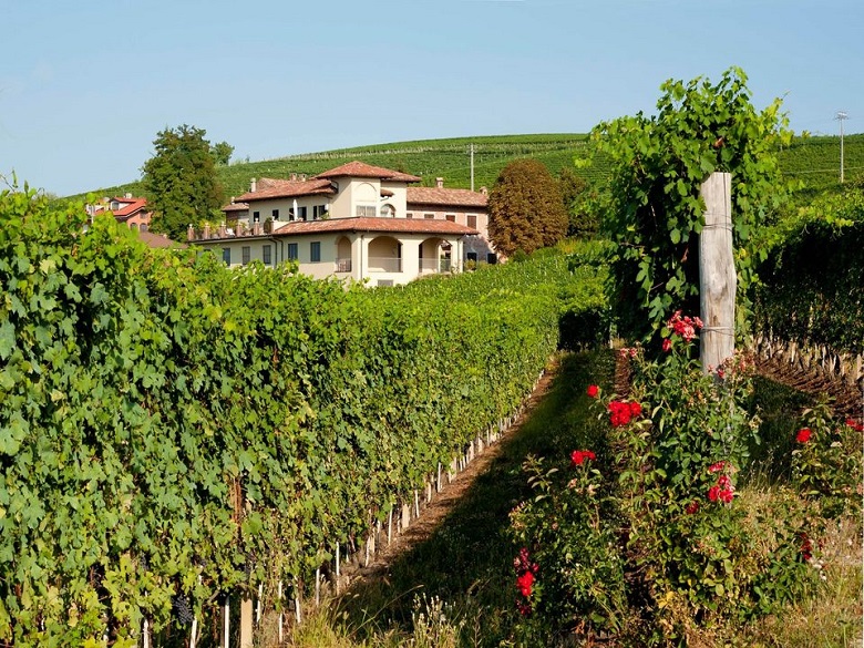 Sottimano iDealwine vin Italie Barbaresco
