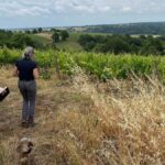 Terre de l’Elu, Ogereau, Plaisance, Bernaudeau | Visites de domaines partenaires iDealwine