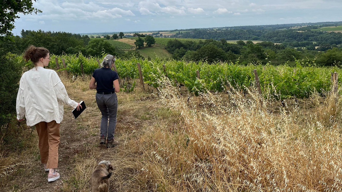 Lire la suite à propos de l’article Terre de l’Elu, Ogereau, Plaisance, Bernaudeau | Visites de domaines partenaires iDealwine