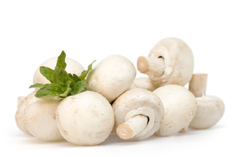 champignons accords mets et vins iDealwine