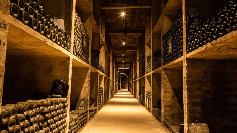 Lire la suite à propos de l’article Bordeaux 2022 : les plus grands vins de garde