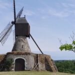 Visite au domaine Laureau : respect et expression des terroirs angevins