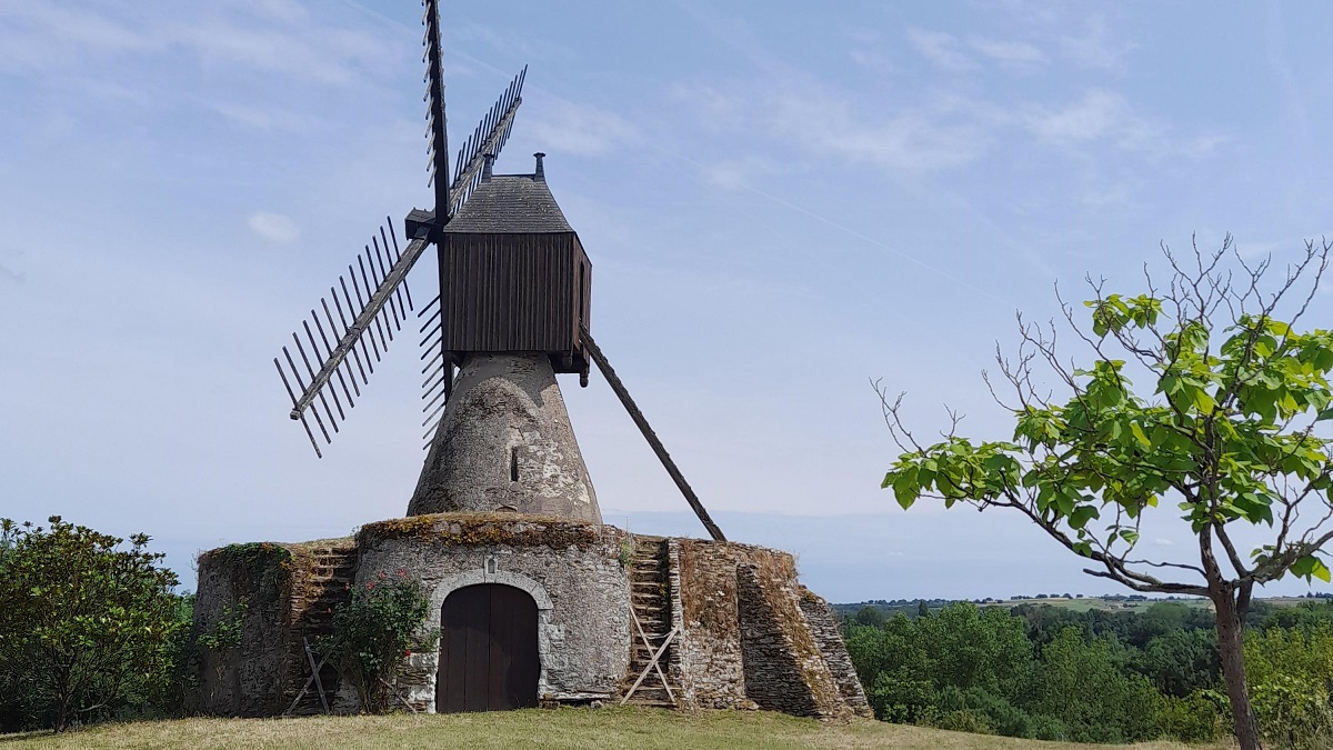 Lire la suite à propos de l’article Visite au domaine Laureau : respect et expression des terroirs angevins