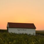 AR Lenoble, les champagnes « cousus-main »