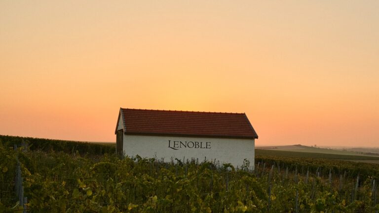 Lire la suite à propos de l’article AR Lenoble, les champagnes « cousus-main »