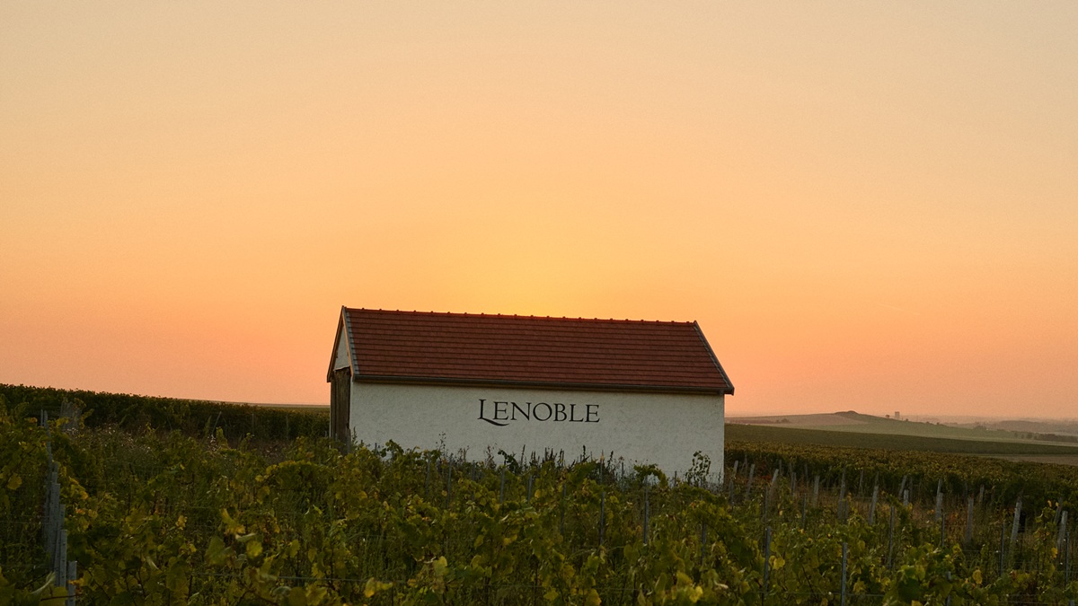 Lire la suite à propos de l’article AR Lenoble, les champagnes « cousus-main »