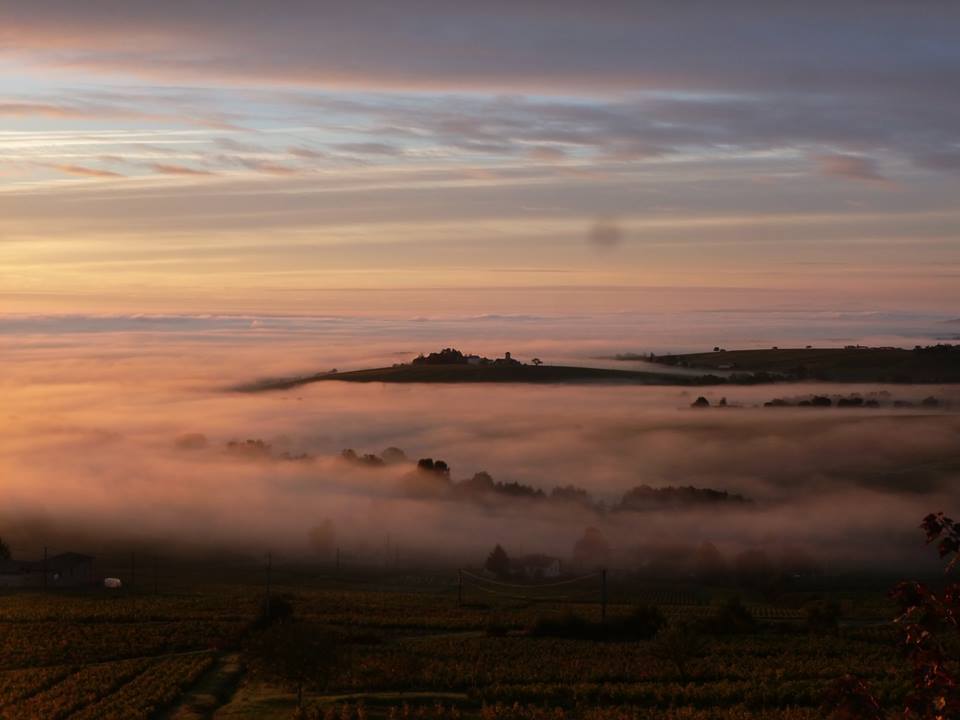 Château Thivin