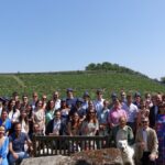 Une journée dans les vignes : l’équipe iDealwine sur les bords de Loire