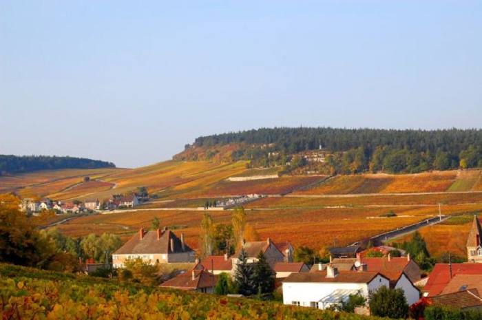 Mercurey appellation centenaire iDealwine vin vignes automne