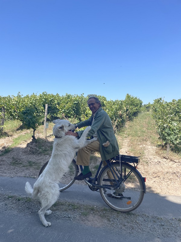 Une journée dans les vignes : l'équipe iDealwine sur les bords de Loire Nicolas Joly