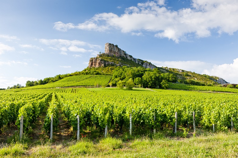 mâconnais vins