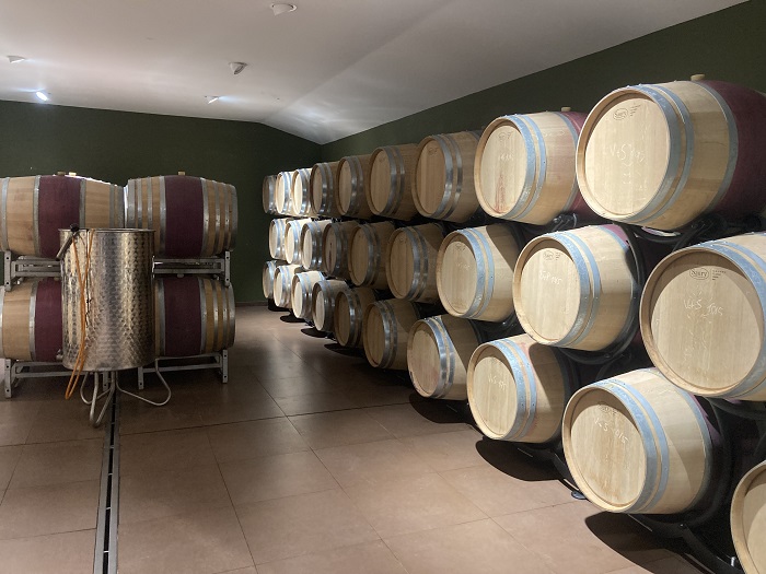 Visites dans les vignes du Roussillon : La Rectorie, Coume del Mas, Clos des Fées, Gardiés 7