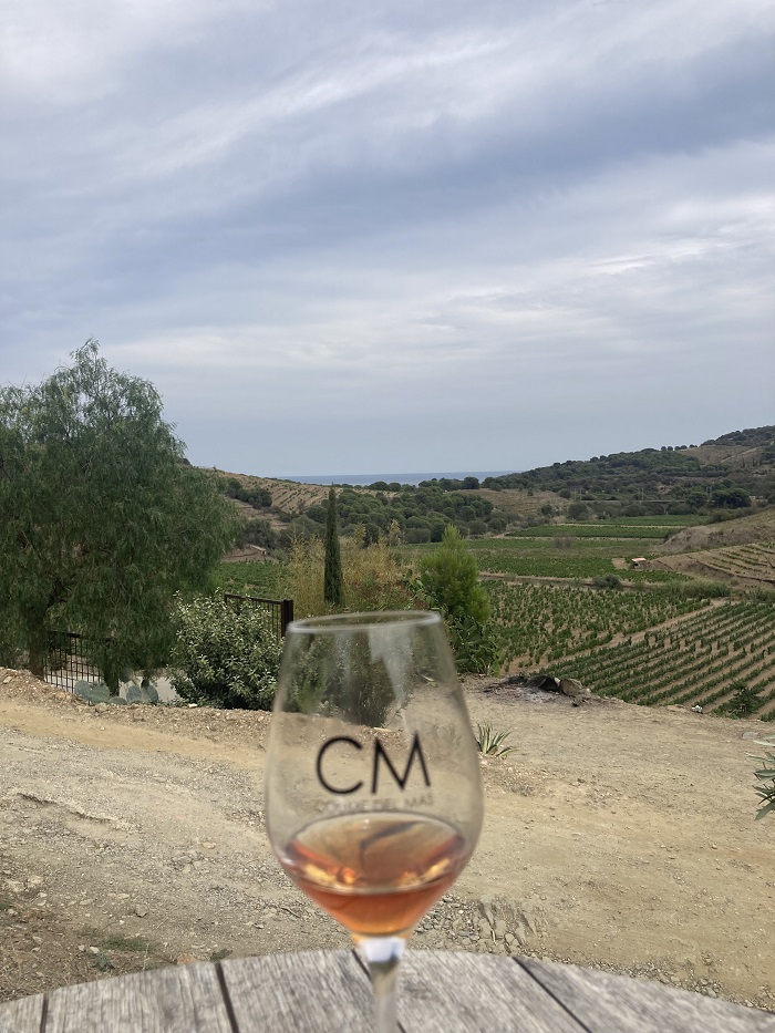 Visites dans les vignes du Roussillon : La Rectorie, Coume del Mas, Clos des Fées, Gardiés 5