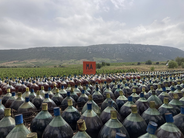 Visites dans les vignes du Roussillon : Le Soula, Olivier Pithon, Mas Amiel, Roc des Anges iDealwine 12