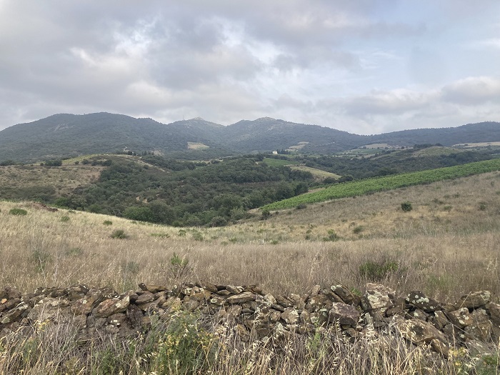 Roc des Anges Roussillon vignes