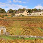 Côte Chalonnaise : l’âge d’or des vins de Givry