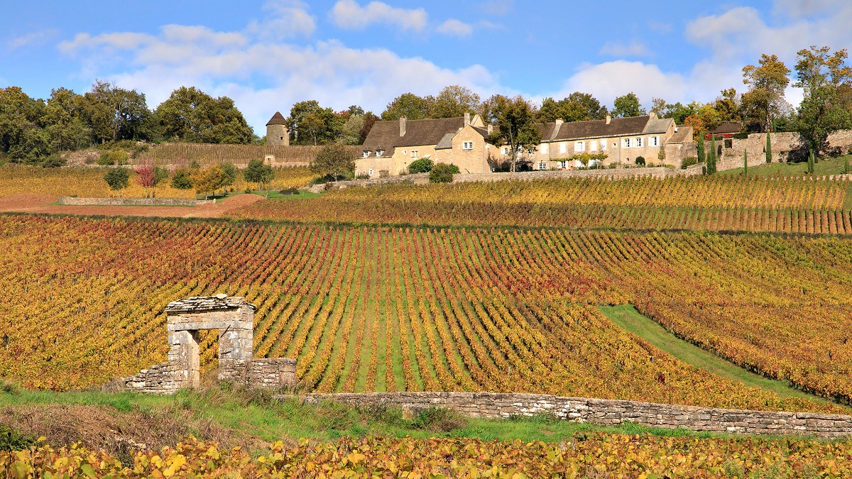 Lire la suite à propos de l’article Côte Chalonnaise : l’âge d’or des vins de Givry