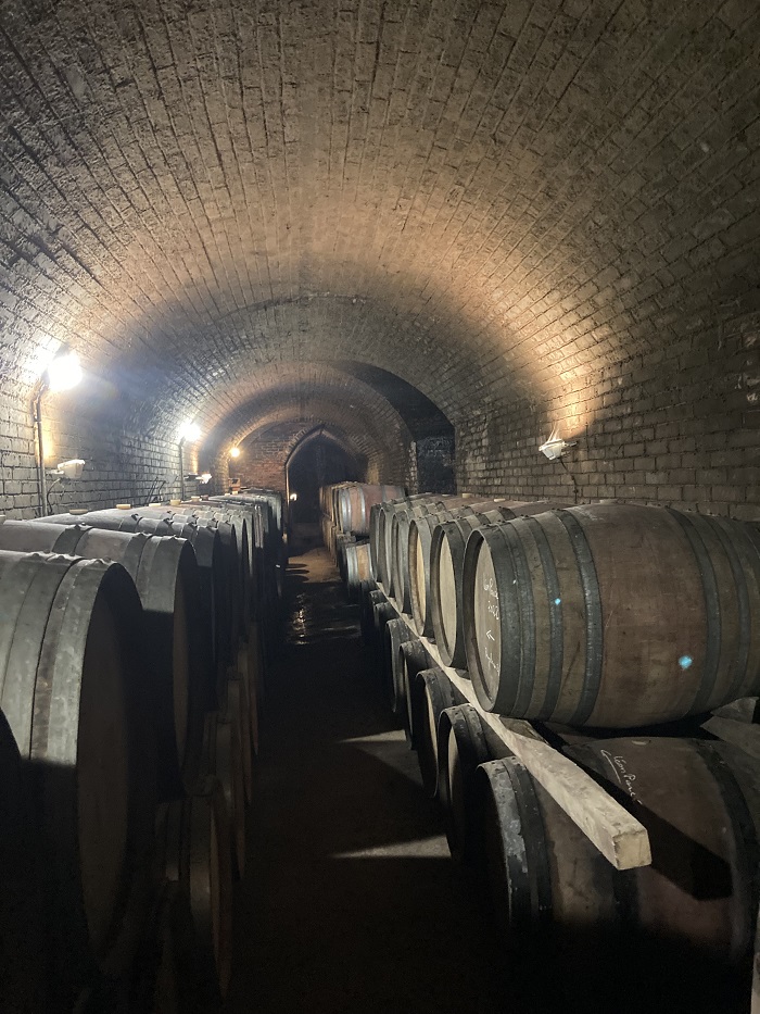 Visites dans les vignes du Roussillon : La Rectorie, Coume del Mas, Clos des Fées, Gardiés 2