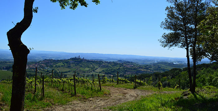 Montenidoli vin Toscane iDealwine