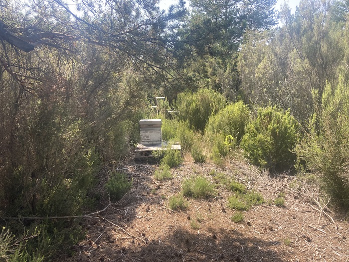Visites dans les vignes du Roussillon : Le Soula, Olivier Pithon, Mas Amiel, Roc des Anges iDealwine 3