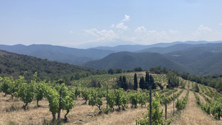 Lire la suite à propos de l’article Visites dans les vignes du Roussillon : Le Soula, Olivier Pithon, Mas Amiel, Roc des Anges