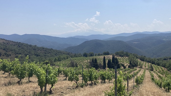 Roussillon vente Roc des Anges et Gauby