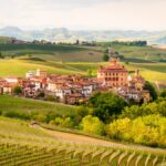 Les différents styles de l’appellation Barolo