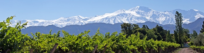 Argentine vignes Bodega Chacra vin en vente iDealwine Patagonie Sassicaia Jean-Marc Roulot