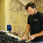 Domaine Mayard : la nouvelle pépite bio et nature de Châteauneuf, déjà très grand !
