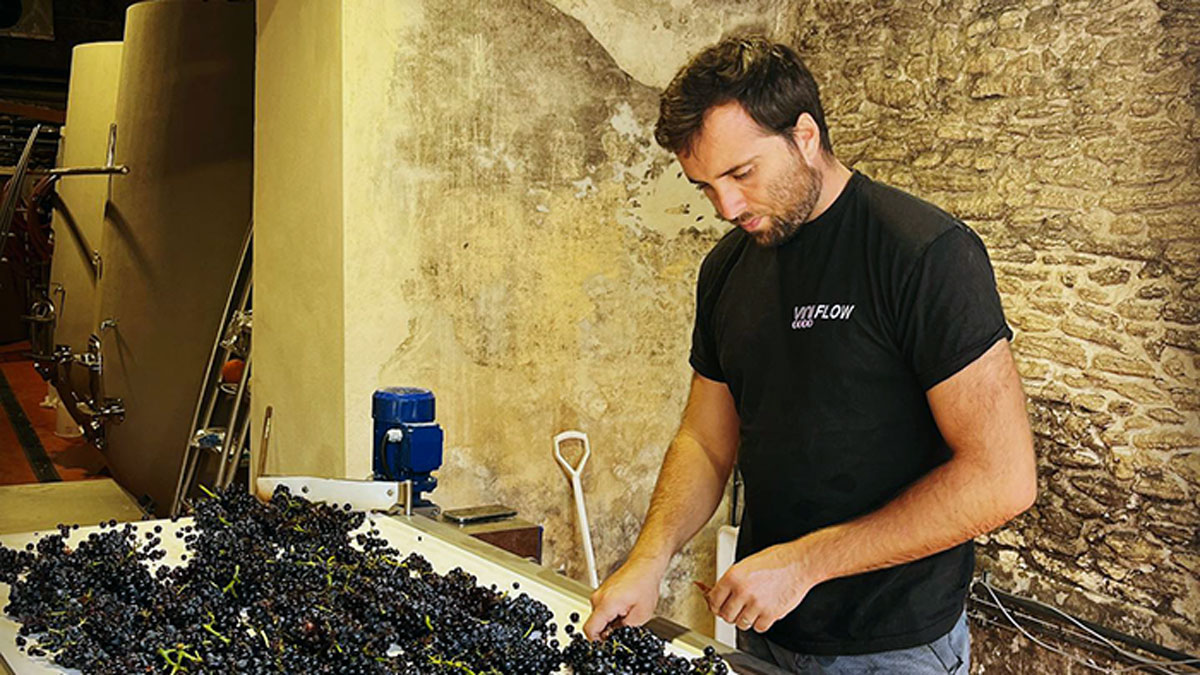 Lire la suite à propos de l’article Domaine Mayard : la nouvelle pépite bio et nature de Châteauneuf, déjà très grand !