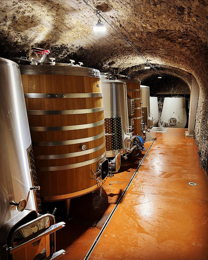 Domaine Mayard cave