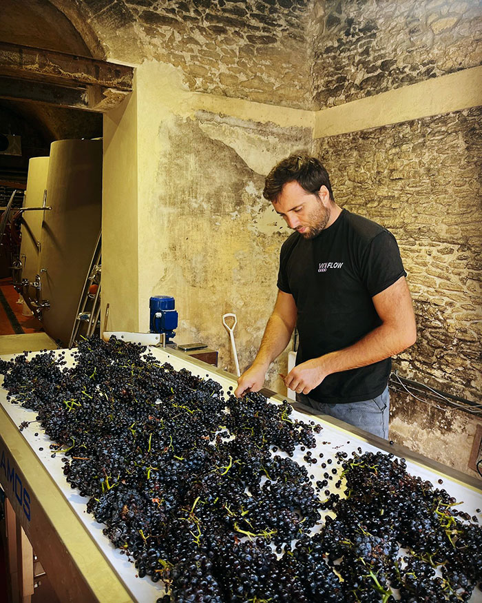 Domaine-Mayard-Châteauneuf-du-Pape