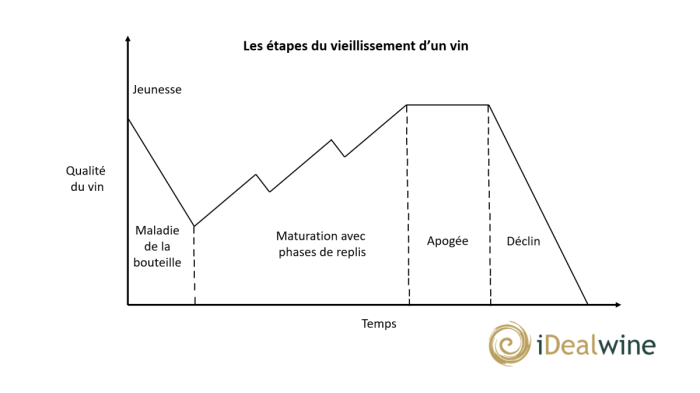 étapes vieillissement vin 