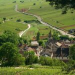 Domaine Rapet père et fils | Pernand-Vergelesses comme patrimoine