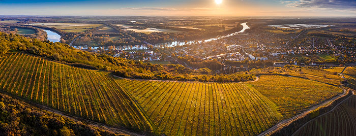 Tokay-Hongrie-Alsace