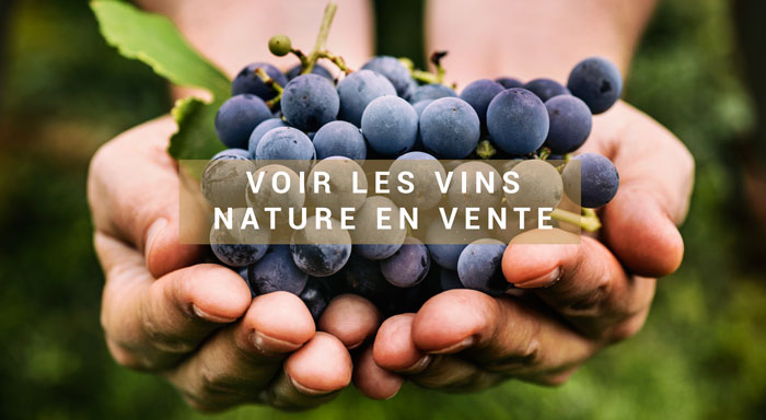 vins nature