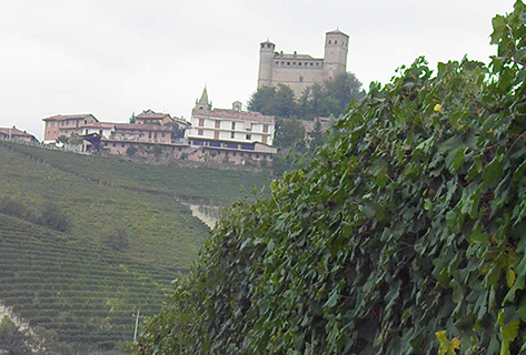 Serralunga d’Alba vignes Luigi Pira