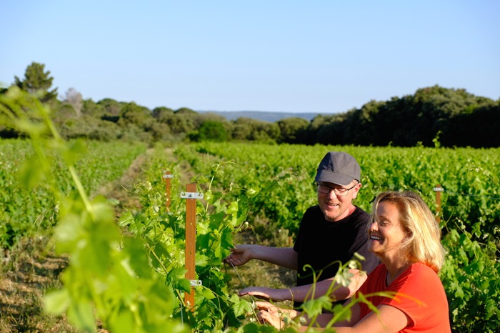 domaine du mas combarela languedoc