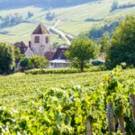 5 domaines champenois secrets à découvrir avec iDealwine