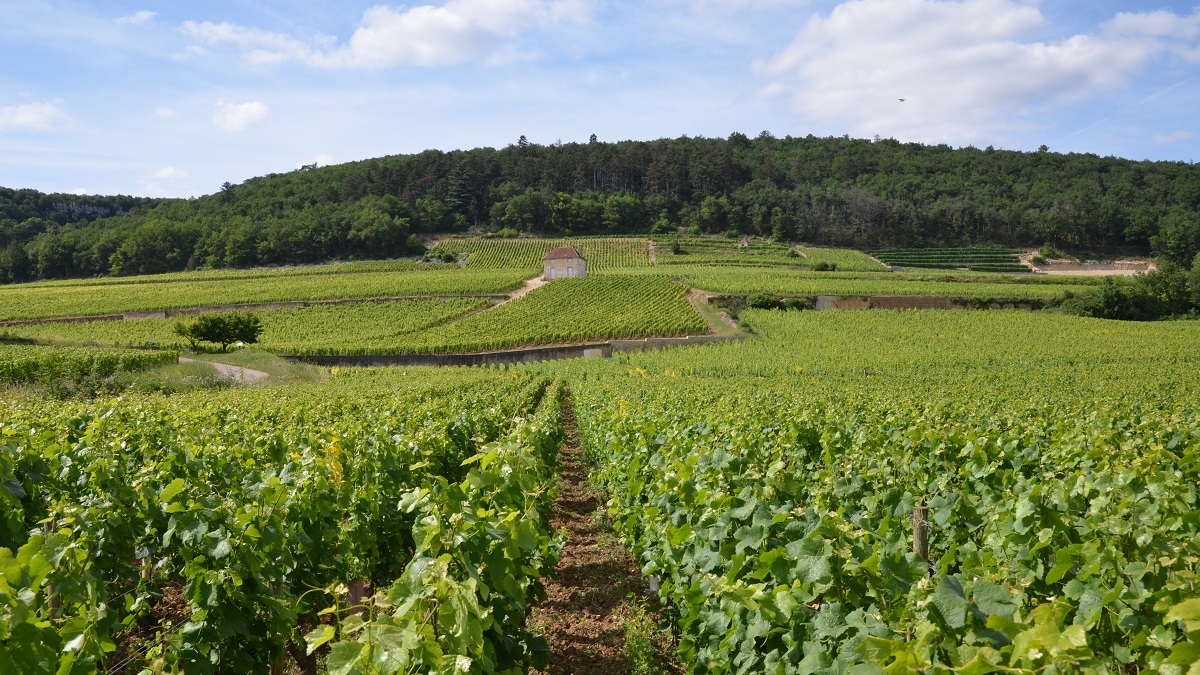 Lire la suite à propos de l’article Record de ventes de vins de Bourgogne à l’export en 2023