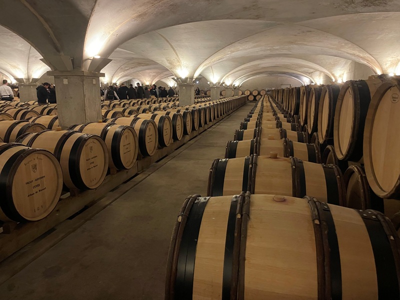 Vente Hospices de Beaune enchères cuverie