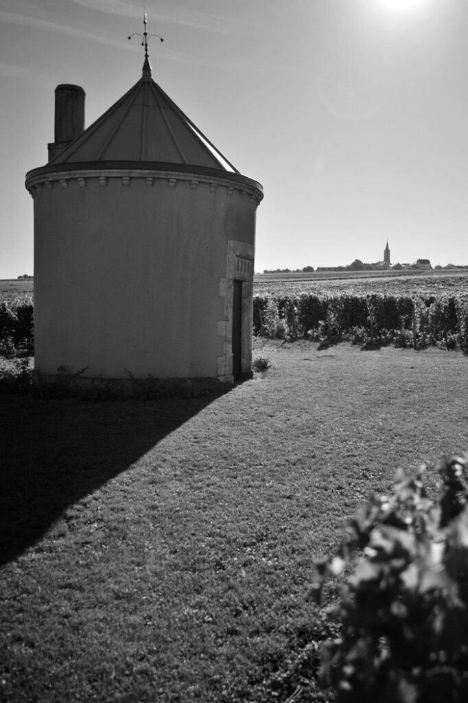 Michel Redde & Fils vignes
