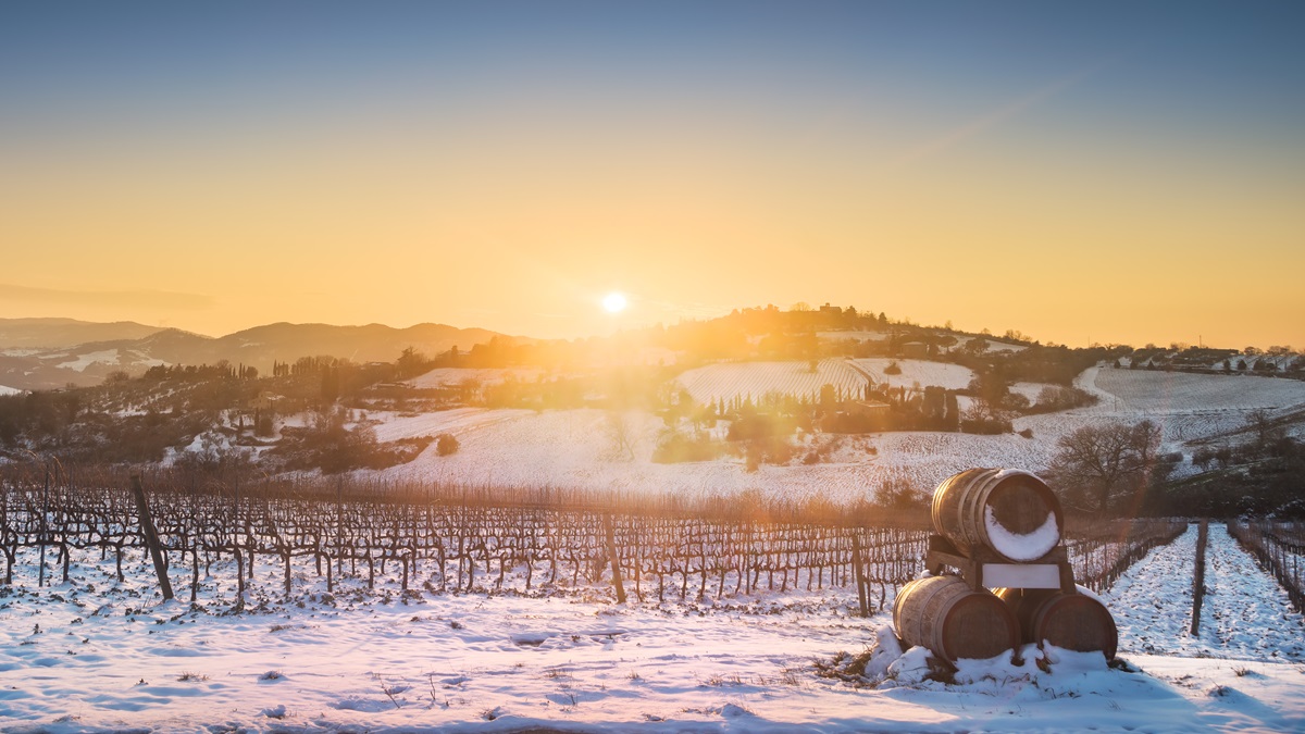 Lire la suite à propos de l’article Icônes étrangères : nouveaux domaines sur iDealwine