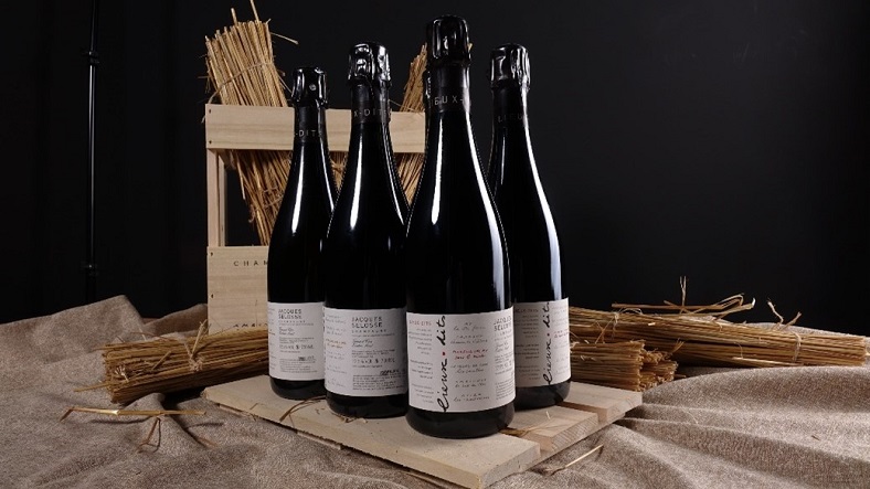 Selosse lieux dits