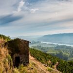 Jean-Michel Gerin : un domaine historique en Côte-Rôtie à Ampuis