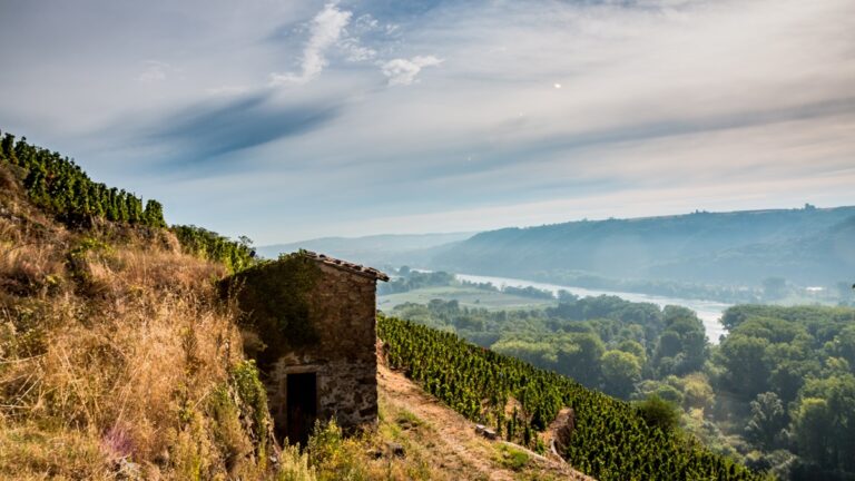 Lire la suite à propos de l’article Jean-Michel Gerin : un domaine historique en Côte-Rôtie à Ampuis