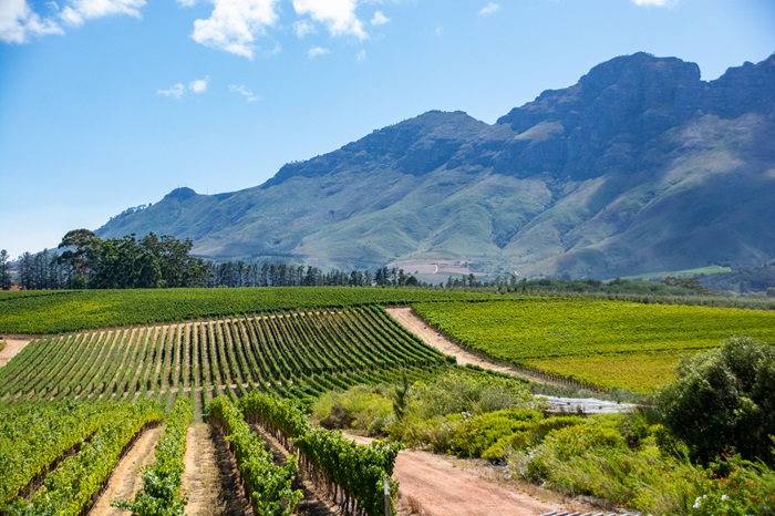 glenelly Stellenbosch