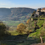 Guide des vins du Jura : histoire, cépages, appellations, meilleurs domaines…