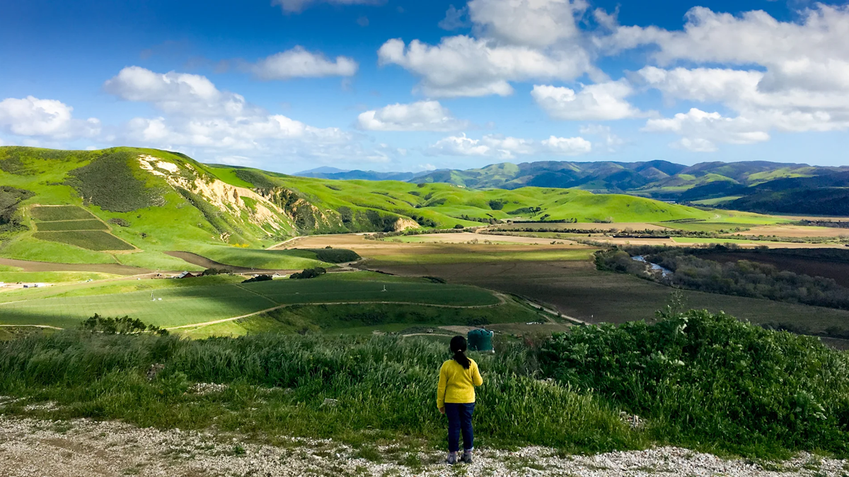 Lire la suite à propos de l’article Piedrasassi : cap sur la syrah fraîche de Californie